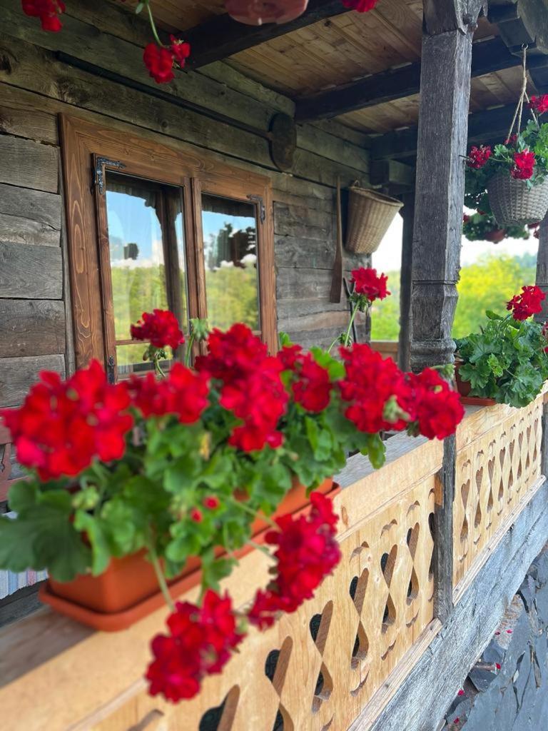 Casa Veche Breb Hotel Екстериор снимка